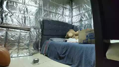 SCARLETH online show from 11-24-25, 02:55