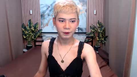 Stella online show from 08-05-26, 05:54