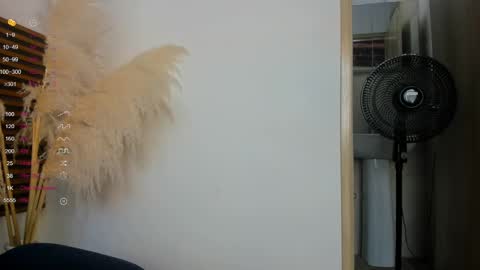 missvalery1 online show from 01-14-25, 09:20