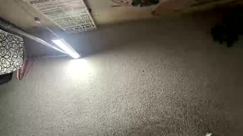 mister_nasty online show from 01-12-26, 06:57