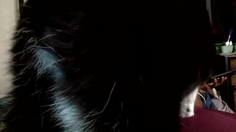 Snapshot of mistressmystii chatting on 03-01-26, 05:42 Mistress Mystii online show from 03-01-26, 05:42