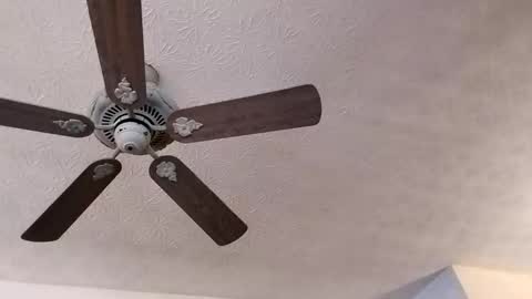 BobbyMitchGa online show from 02-23-25, 03:40