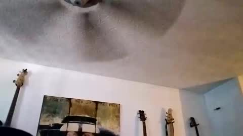 BobbyMitchGa online show from 09-14-25, 06:18