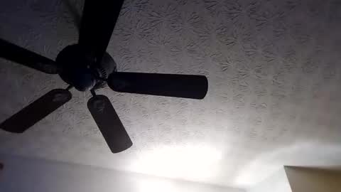 BobbyMitchGa online show from 09-18-25, 10:28