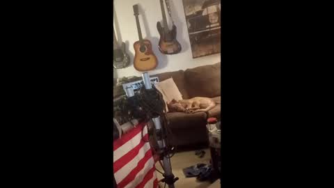 Snapshot of mitchnails69 chatting on 04-29-26, 06:06 BobbyMitchGa online show from 04-29-26, 06:06