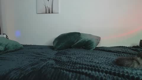 Yuka online show from 02-12-25, 10:26