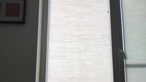 mko88951 online show from 04-22-26, 10:50