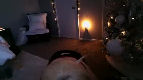 Angel online show from 12-11-24, 11:30