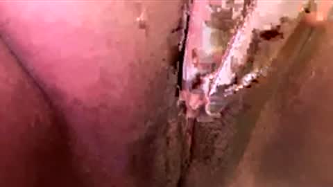 mmmtara online show from 11-30-25, 02:48