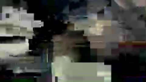 Mnwild4u online show from 07-06-26, 06:54