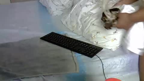 Snapshot of mollynebony chatting on 03-18-26, 10:51 mollyn online show from 03-18-26, 10:51