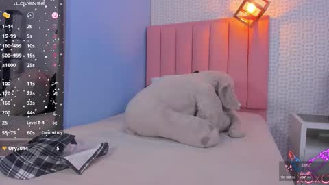 MOLLY online show from 11-11-25, 07:58