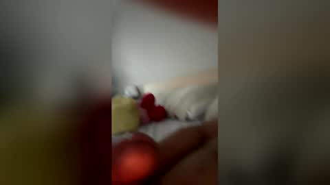 monchito88 online show from 06-05-26, 11:27