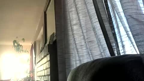 Monkee Dance online show from 12-17-24, 05:36