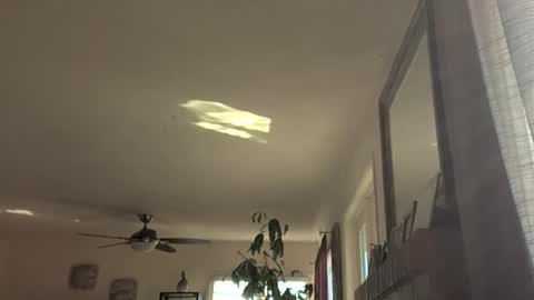 Monkee Dance online show from 11-18-25, 09:19