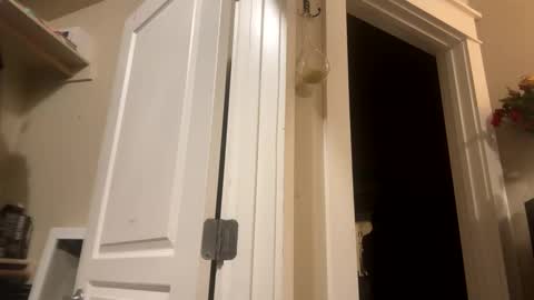 Monroe online show from 12-08-24, 07:37