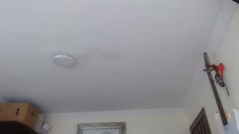 Snapshot of morbidangel08 chatting on 01-12-26, 03:28 Abelardo online show from 01-12-26, 03:28