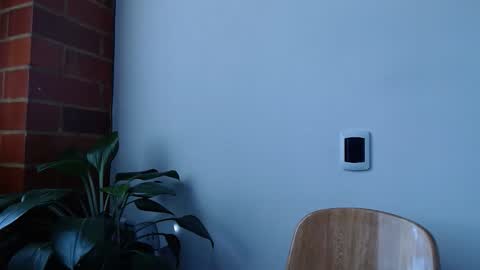 Snapshot of morbidangel08 chatting on 03-20-26, 06:13 Abelardo online show from 03-20-26, 06:13