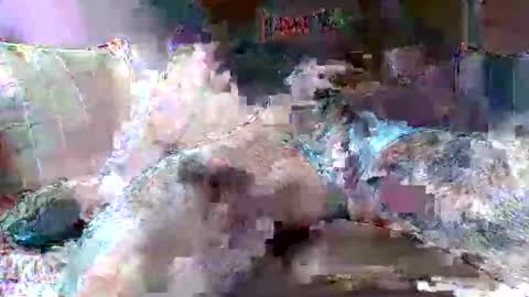 Snapshot of morboso2563 chatting on 11-21-25, 10:30 morboso2563 online show from 11-21-25, 10:30