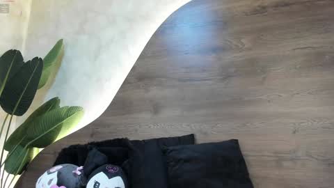  Morgan  online show from 01-28-25, 11:49