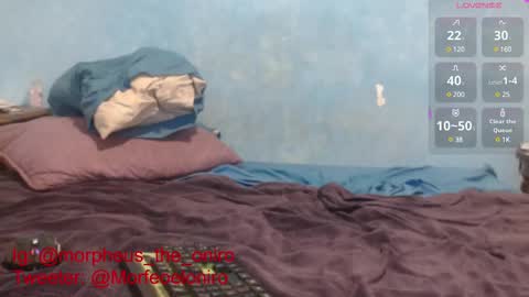 Morpheo online show from 03-12-25, 06:33