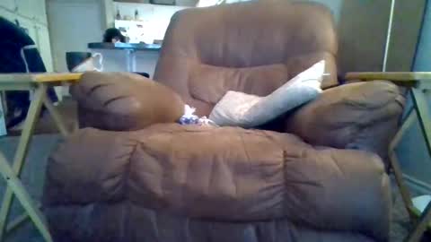 motodub online show from 03-01-25, 04:00