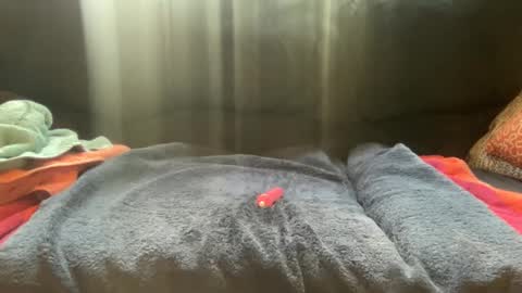 mountainguy0706 online show from 02-25-25, 06:31