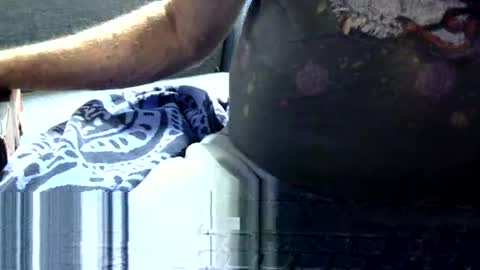 Snapshot of mphmsg7 chatting on 06-03-26, 04:23 mphmsg7 online show from 06-03-26, 04:23