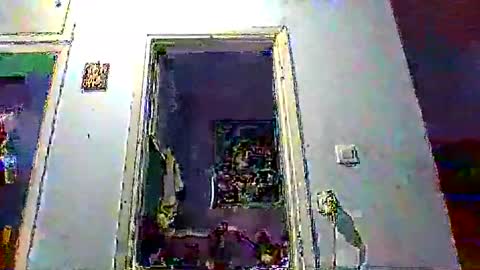 mppempis81 online show from 01-17-26, 03:50