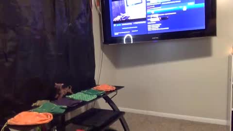 whateveryouwant online show from 01-03-25, 09:58