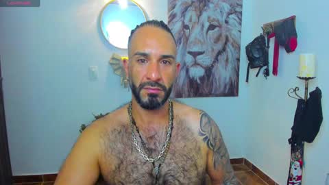 Snapshot of mr_maik22 chatting on 01-31-25, 08:54 mr_maik22 online show from 01-31-25, 08:54