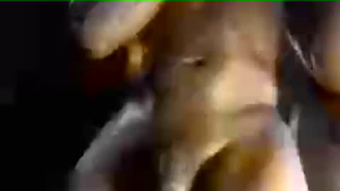 MrBigDiQ1 online show from 06-28-26, 03:40