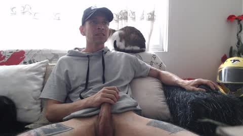 Snapshot of mrcock_col chatting on 04-08-26, 05:13 mrcock_col online show from 04-08-26, 05:13