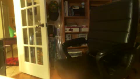 Snapshot of mrgspothitter4u chatting on 12-29-24, 11:40 MrGspotHitter4U online show from 12-29-24, 11:40