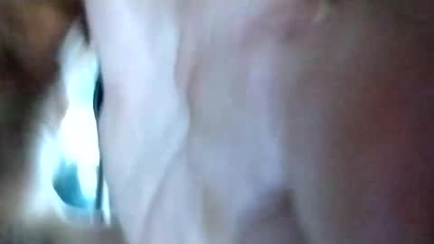 Snapshot of mrhotcock7inch chatting on 12-27-24, 08:24 mrhotcock7inch online show from 12-27-24, 08:24