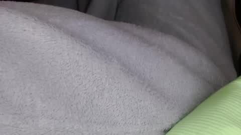 Snapshot of mrjeannemar chatting on 01-18-26, 08:12 Mister Jean Nemar online show from 01-18-26, 08:12