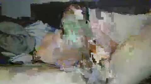 mrpapichulo4life online show from 02-01-26, 11:20