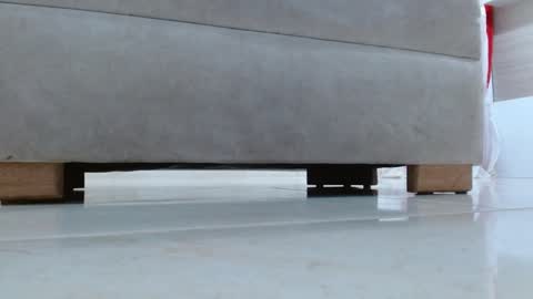 Tell me Katty  online show from 01-10-25, 11:43