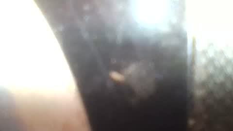 Mrs Venus online show from 01-30-25, 02:36