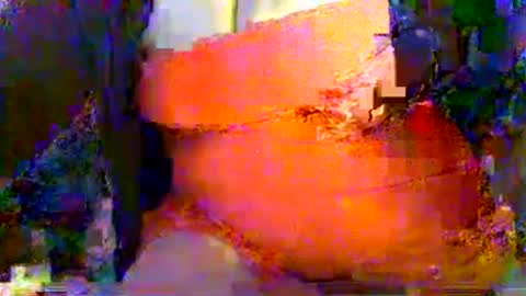 Mrs Venus online show from 07-25-26, 10:51