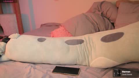 Allison online show from 03-28-26, 08:47