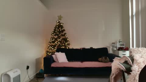 R o r i  SnapChat heyroriv2 wednesday - sunday Noon oclock mountain - 5pm mountain online show from 02-12-26, 04:13