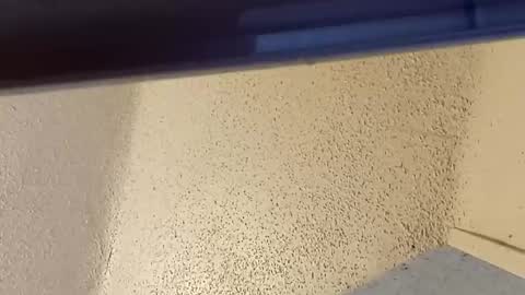 melissa online show from 03-02-26, 07:32