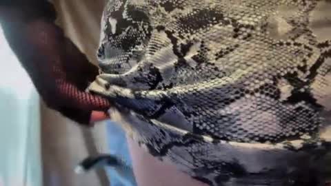 mskarentoy online show from 10-06-25, 07:55