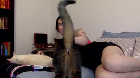 Snapshot of msrubyhayes chatting on 12-11-24, 03:13 Ruby online show from 12-11-24, 03:13