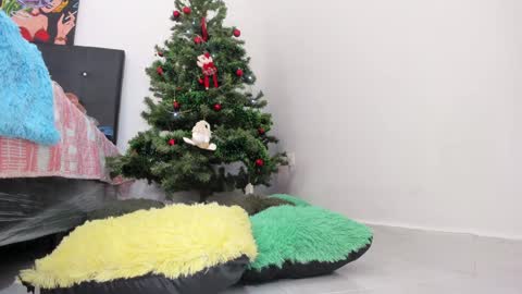 Chloe new account online show from 12-11-24, 08:07