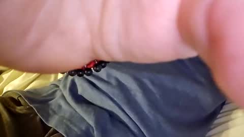 Snapshot of mtnclimber1 chatting on 11-19-25, 10:54 mtnclimber1 online show from 11-19-25, 10:54