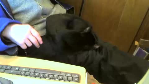 muller520 online show from 02-11-25, 04:46