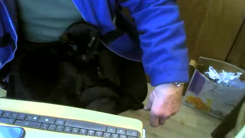 muller520 online show from 02-22-25, 11:13