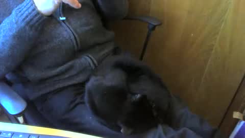 muller520 online show from 04-13-26, 03:50